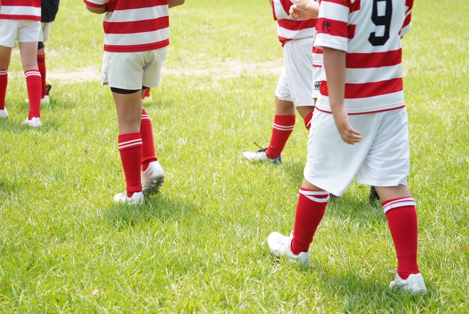 八代ラグビースクールの小学生ラガーマンたちが芝生の上を歩く様子